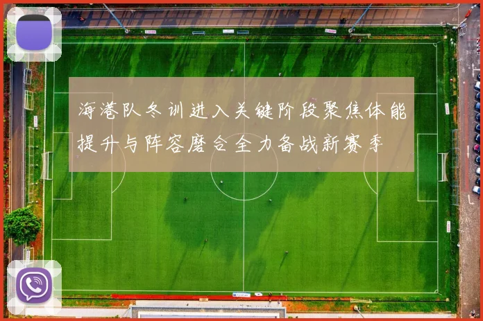 海港队冬训进入关键阶段聚焦体能提升与阵容磨合全力备战新赛季